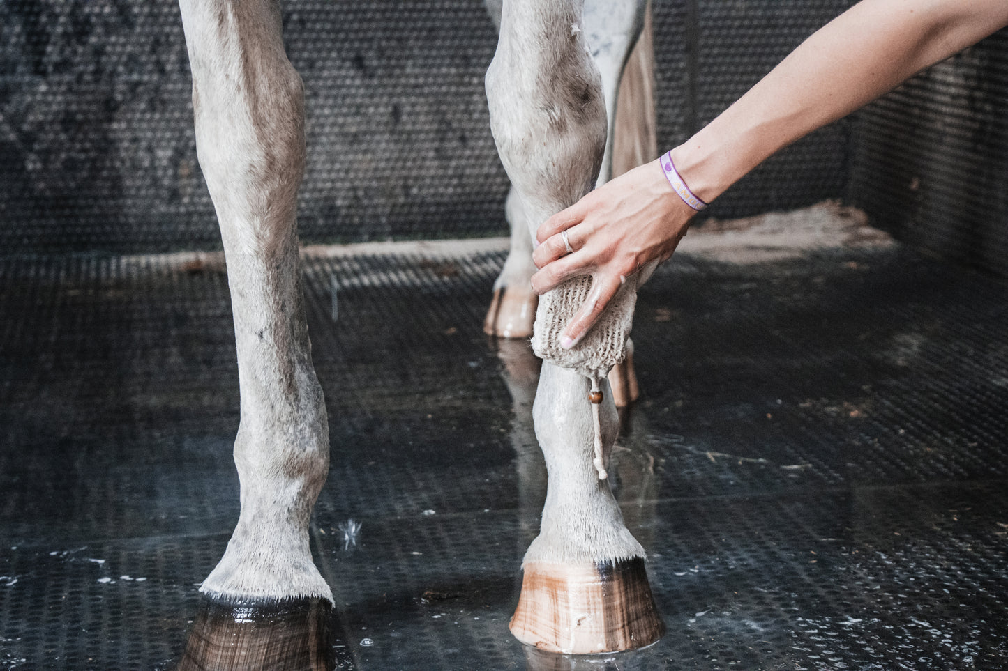 Horse Soap Paardenshampoo Bars - Luxe, natuurlijke verzorging voor je paard. * Premium
* 100% natuurlijke paardenshampoo * Diervriendelijk * Plasticvrij * Handgemaakt in een sociale werkplaats * Nederlands product.