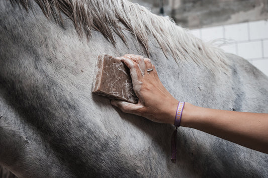 Honing: Voordelen voor de Paardenhuid