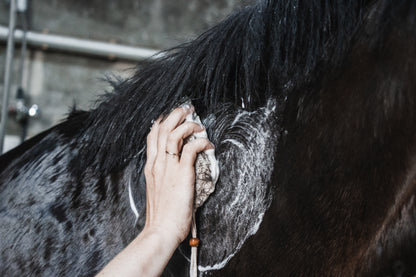 Horse Soap Paardenshampoo Bars - Luxe, natuurlijke verzorging voor je paard. * Premium 
* 100% natuurlijke paardenshampoo * Diervriendelijk * Plasticvrij * Handgemaakt in een sociale werkplaats * Nederlands product!
