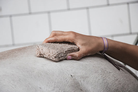 Horse Soap Paarden Shampoobars - Luxe, natuurlijke verzorging voor je paard. * Premium 
* 100% natuurlijke paardenshampoo * Diervriendelijk * 100% Plasticvrij * Handgemaakt in een sociale werkplaats * Nederlands product

