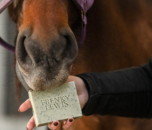 Natuurlijke Paarden Shampoobar Scrub & Shine